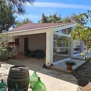 B&B Montedarena